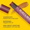 Burt's Bees Lip Balm Spring Gifts, 3 Nourishing Lip Care Shimmers for All Day Glow, Kissable Color Spring Gift Set -Peony, Fig & Rhubarb (Packaging May Vary) view 3