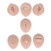 Ear Model Body Piercing Kits Piercing Practice Body Parts Tongue Piercing Kit,3D Simulation Soft Reusable Nose Tongue Model Silicone Body Piercing Practice Model for Piercers (Medium Skin Color) view 4