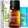 Bay Leaf & Peppermint Essential Oil Set - Aromatherapy Grade Essential Oils Set - 2x0.34 fl oz - Gya Labs view 2