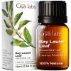 Bay Leaf & Peppermint Essential Oil Set - Aromatherapy Grade Essential Oils Set - 2x0.34 fl oz - Gya Labs view 3