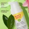 Burt's Bees Green Tea Face Serum, Protects & Improves Skin Tone with Antioxidant Rich Green Tea & Lotus, Naturally Brightening & Firming, Lightweight - Antioxidant Booster Serum (1 oz) view 3