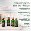 Tree of Life Beauty Facial Skin Care Set, Brightening, Firming, Hydrating, Dry Face, Dermatologist Tested - Niacinamide + Vitamin C + Retinol + Hyaluronic Acid Serum - 4 count of 1 Fl Oz view 2