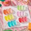 Born Pretty Pastel Jelly Gel Polish Blue Green Yellow Pink Red Translucent view 3