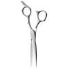 AOLANDUO Master Series VG10 Steel Professional Hair Cutting Scissors, Ultra-Sharp Barber & Stylist Shears, Best Hair Cutting Scissors Professional, 1 Count, 6.0 Inch, Silver White view 1