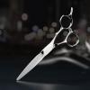 AOLANDUO Master Series VG10 Steel Professional Hair Cutting Scissors, Ultra-Sharp Barber & Stylist Shears, Best Hair Cutting Scissors Professional, 1 Count, 6.0 Inch, Silver White view 2