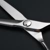 AOLANDUO Master Series VG10 Steel Professional Hair Cutting Scissors, Ultra-Sharp Barber & Stylist Shears, Best Hair Cutting Scissors Professional, 1 Count, 6.0 Inch, Silver White view 4