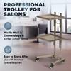 Buy-Rite Helix Salon Tray - Stainless Steel Cart with 2 Collapsible Trays, Built-in Shelf, Large Wheels & Easy Storage - Ideal for Spas, Barbershops & Schools, NIN-588 view 2