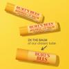 Burt's Bees Moisturizing Lip Balm, 2 Original Beeswax and 1 Vanilla Bean, 100% Natural Origin, 0.34 Ounce Each, 3 Paper Tubes, Pack May Vary view 2