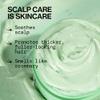 Pacifica Scalp Smoothie Hydrating Scalp Treatment & Leave-On Hair Mask, Cooling Relief for Dry, Flaky, Itchy Scalp & Thinning Hair, Vegan & Cruelty-Free, 6 fl oz view 4