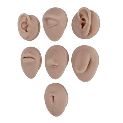 Piercing Body Model, Soft Compact Silicone Piercing Body Model 3D Simulation Lightweight for Display for Jewelry Stores (Deep Skin Color)