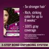 Schwarzkopf Keratin Permanent Hair Dye Cream, 2.6 Rich Soft Black, Professional Quality Color for Up to 100% Gray Coverage, Bond Enforcing System view 2