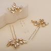 Teyglen 3pcs Bridal Crystal Hair Pins Rhinestones Hair Pieces Simple Crystal Wedding Hair Accessories Handmade Hair Pins for Women Bride(Champagne) view 4