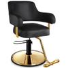 Baasha Comfortable Gold Salon Chair with Adjustable Height and Swivel Function, Ergonomic Stylist Chairs with Padded Armrests, Elegant Hair Chair with Premium Leather Upholstery - Gold & Black view 1