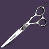 XUANFENG 6 inch Silver Professional Hair Scissors 9cr18 Steel Cutting and thinning Scissors are Suitable for Salon Hairdressers, Men, Women, Children and Adults (Cutting Scissors) view 2
