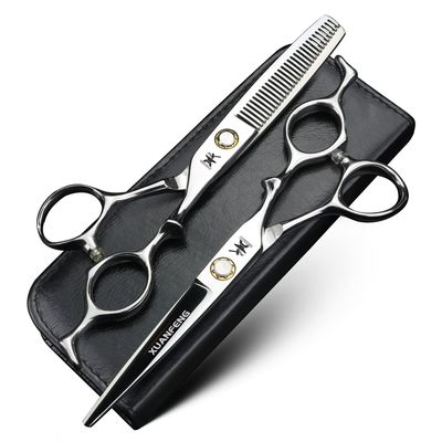 Bearing Hair Scissors 6 inch JP440C Steel Professional Hair Cutting Scissors and thinning Scissors, Hair Modeling Tool Scissors (2 pcs)