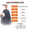 Pre-twisted Passion Twist Hair 10 Inch 8 packs Short Passion Twist Crochet Hair Pre-looped Crochet Braids for Women Gray Passion Twists Synthetic Curly Crochet Hair Extensions 1B/Gray view 3