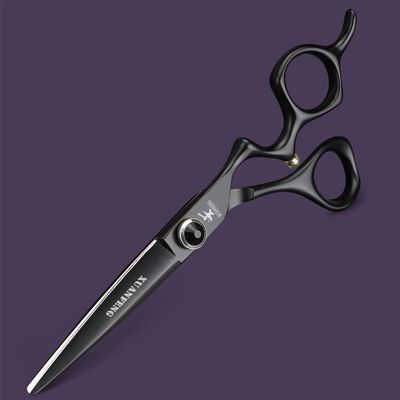 XUANFENG Comfort Grip 6" JP440C Steel Hair Scissors Haircutting Scissors for Home or Barber Store Cutting Scissors and thinning Scissors (Black Cutting Scissors)