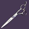 XUANFENG Bamboo Handle 6 inch for Home or Barber Store Cutting Scissors and thinning Scissors 440C Steel Hair Scissors haircutting Scissors (Silver Cutting Scissors) view 2