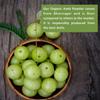Goldy Amla Powder For Hair Growth | 100% Natural, No Preservatives | Indian Gooseberry Powder- 100 GM (Pake of 1) view 3