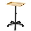 Chetunju Golden Salon Tray Premium Aluminum Rolling Tray Adjustable Height Use for The Tattoo Tray Hairstylist Tray with Wheels(Golden) view 1