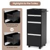 BarberPub Salon Trolley with Drawers Barber Cart Storage Cabinet Beauty Organizer Spa Equipment 2039 (Black) view 4