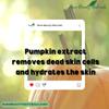 100% Natural Pumpkin Extract Soap // Free Exfoliating Soap Bag view 3