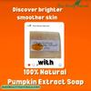 100% Natural Pumpkin Extract Soap // Free Exfoliating Soap Bag view 4