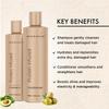 MOEHAIR Protein Infused Shampoo and Conditioner Set for Dry & Damaged Hair | Strengthens Hair Fiber | Sulfate & Paraben Free | Adds Shine, Softens & Hydrates Hair (12 Fl Oz) view 3