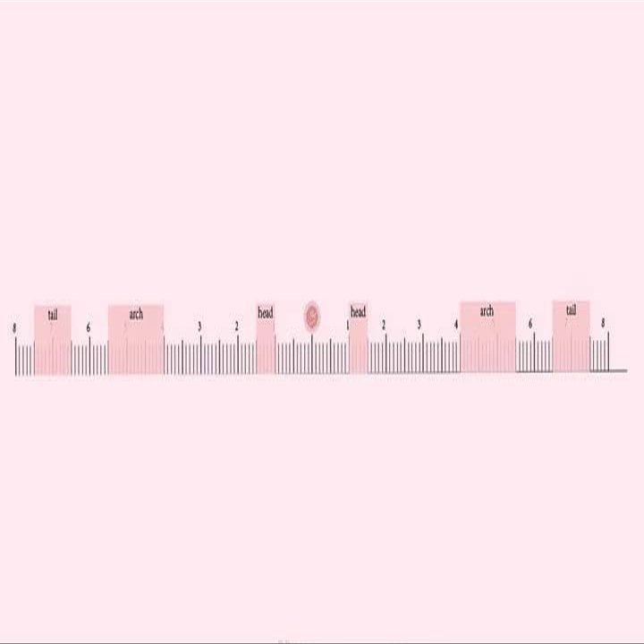 Brow Measurement Stickers