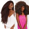 Janet Collection Braids Nala Tress 2X Afro Kinky Bulk 48" (pack of 4, 1B) view 3