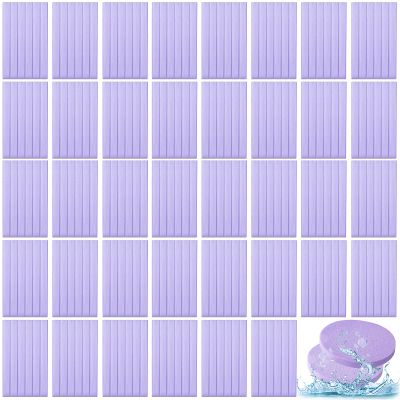 Foaincore 600 Pieces Compressed Facial Sponge Round Facial Sponge for Estheticians Face Sponges for Cleansing Face Wash Pads Disposable Sponges for Women Spa Exfoliating Cleansing(Purple)