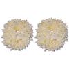BlueQueen Hair Mogra Scented Rubber Band Gajra Hair Accessories for Women Girls (White) (Free Size (30 GM) (Pack Of 10000) view 2