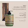 W.Dressroom Moisturizing Perfume Body Lotion No.10 October Woody  Hydrating, Fast-Absorbing, Non-Greasy Skincare for Dry & Sensitive Skin, 16.9 fl oz Pump view 4
