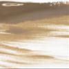 SofTap PMU Eyebrow Microblading Shading Pigment for Permanent Makeup Tattoo (Platinum Blonde) view 4