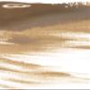 SofTap PMU Eyebrow Microblading Shading Pigment for Permanent Makeup Tattoo (Bashful Blonde) view 4