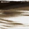 SofTap PMU Eyebrow Microblading Shading Pigment for Permanent Makeup Tattoo (Earth) view 3