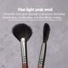 Fan Shape Highlight Brush Makeup Tool, Contour Women Highlighter Beauty Blush view 3