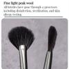 Fan Shape Highlight Brush Makeup Tool, Contour Women Highlighter Beauty Blush view 4