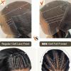 13x6 Lace Front Wigs Human Hair Pre Plucked 200% Density Bleached Knots With Baby HairGlueless Wigs Human Hair HD lace Natural Hairline for Black Women view 4
