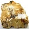 194 Gram Bruneau Canyon Solid Creme Oregon Opal Jasper Slab Cab Rough OJ11 view 4