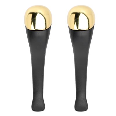 Jeanoko Eye Cream Massage Tool, Stylish Metal 2pcs Skin Lifting Eye Cream Spatula for Women for Home for Beauty Salon Gift
