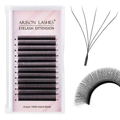 Arison Lashes 5D W Shape Eyelash Extension Natural Soft Volume Premade Fans Faux Mink Matte Black Cluster 12 rows(5DW-0.07-D-10mm)