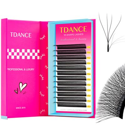 TDANCE YY Lash Extensions Premade Volume Eyelash Fans YY Lashes Matte Black W Lashes Extensions(W-4D-0.07-C,10 mm)