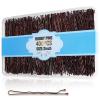 400Pcs Bobby Pins Brown, Cyluer Bobby Pin, 2 Inch Premium Bobby Pins Secure Hold & Pain Free For Women Girls and Kids, Invisible Wave Hair Pins Bulk With Storage Case, Suitable For Various Hairstyles view 1