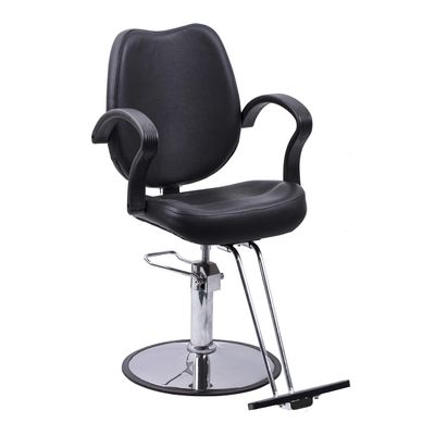 Beautynao Salon Chair Barber Chair Styling Beauty Chair Cutting Chair Beauty Equipment(Black)