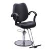 Beautynao Salon Chair Barber Chair Styling Beauty Chair Cutting Chair Beauty Equipment(Black) view 1