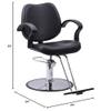 Beautynao Salon Chair Barber Chair Styling Beauty Chair Cutting Chair Beauty Equipment(Black) view 2