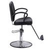 Beautynao Salon Chair Barber Chair Styling Beauty Chair Cutting Chair Beauty Equipment(Black) view 3