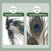 KALLORY Retro Vintage Hair Clips Green Peacock Hairpin for Women Elegant Hair Accessories for Party Wedding and Everyday Use view 3
