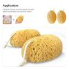 Beavorty 2pcs Exfoliating Bath Sponges for Body Scrubbing Soft Honeycomb Design Gentle Cleanse Shower Supplies for Daily Use and Skin Care view 4